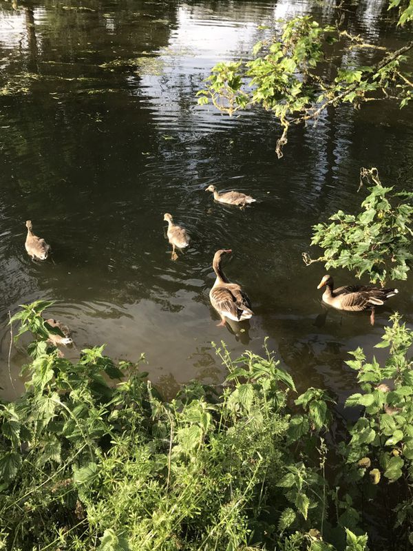 Moderate route in London