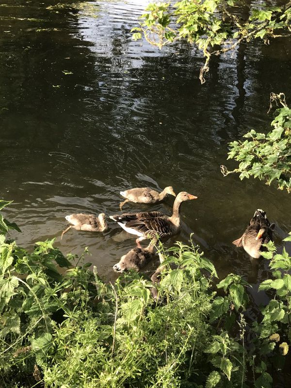 Moderate route in London