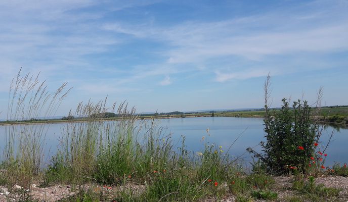 Foto 2 der Bikemap-Route "Lutherstein"