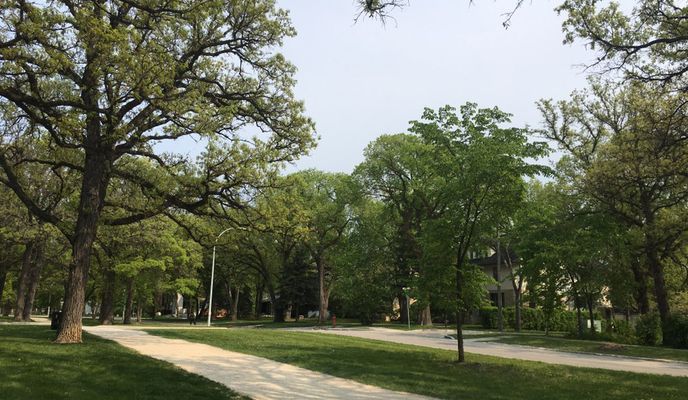 Foto 2 de la ruta de Bikemap "Snail-like route in Winnipeg"