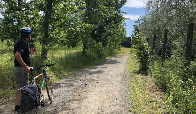 Photo 2 of the Bikemap route "Percorso moderato in Bolsena"