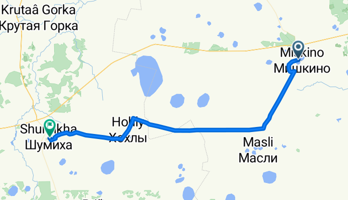 Мишкино Шумиха 102км