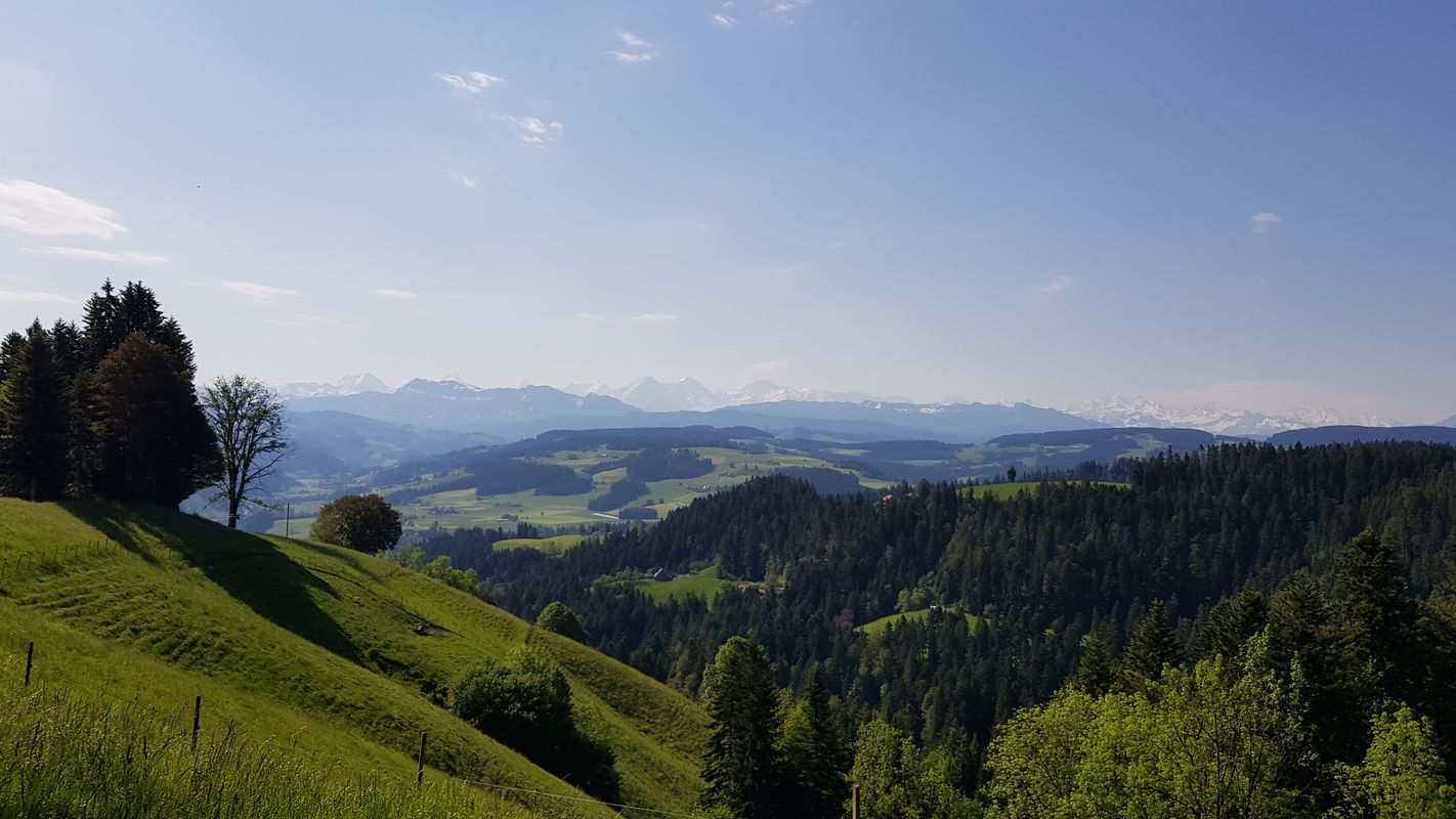 Obergoldbach-Moosegg