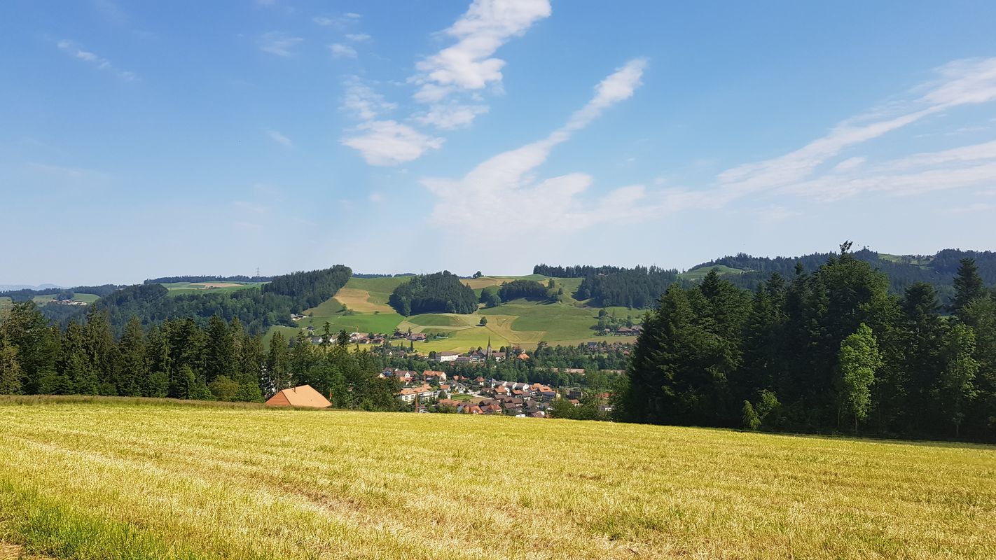 Obergoldbach-Moosegg