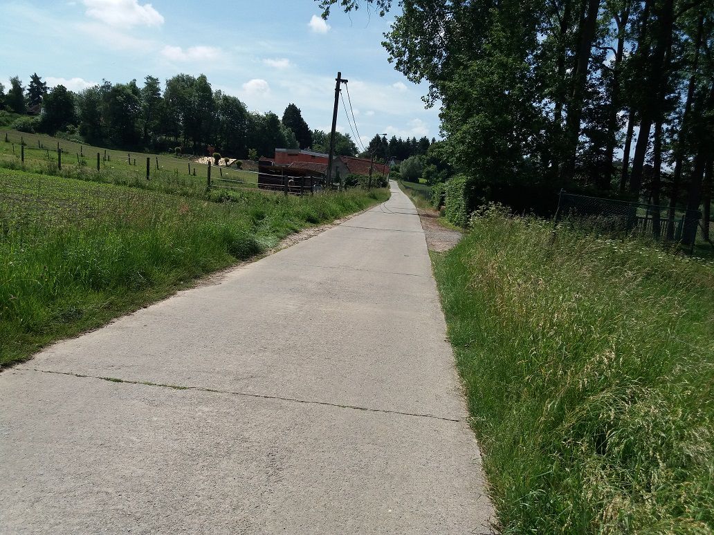 Baaigem