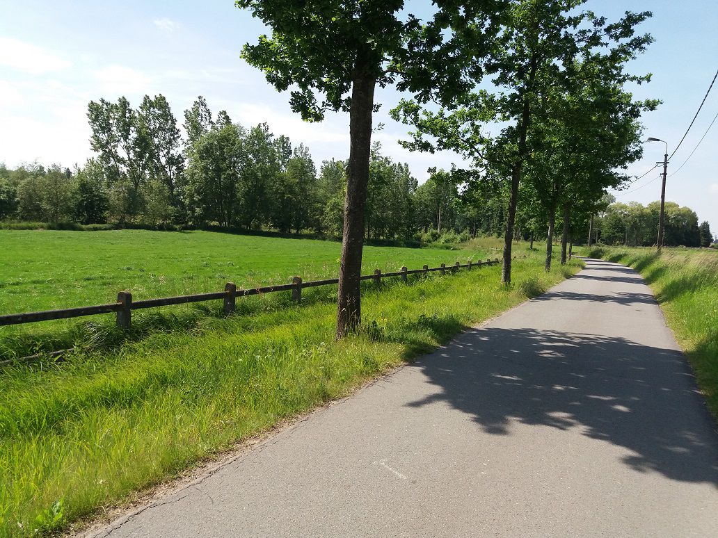 Baaigem