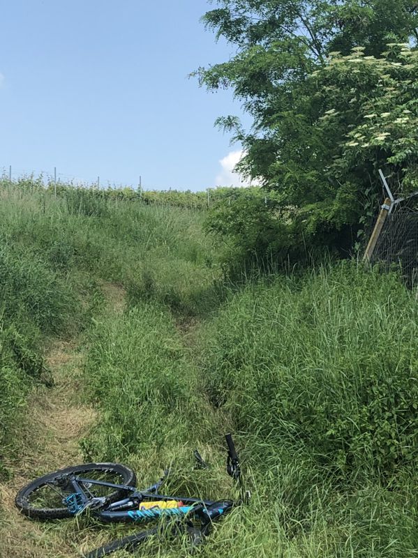 tura mare salina vie