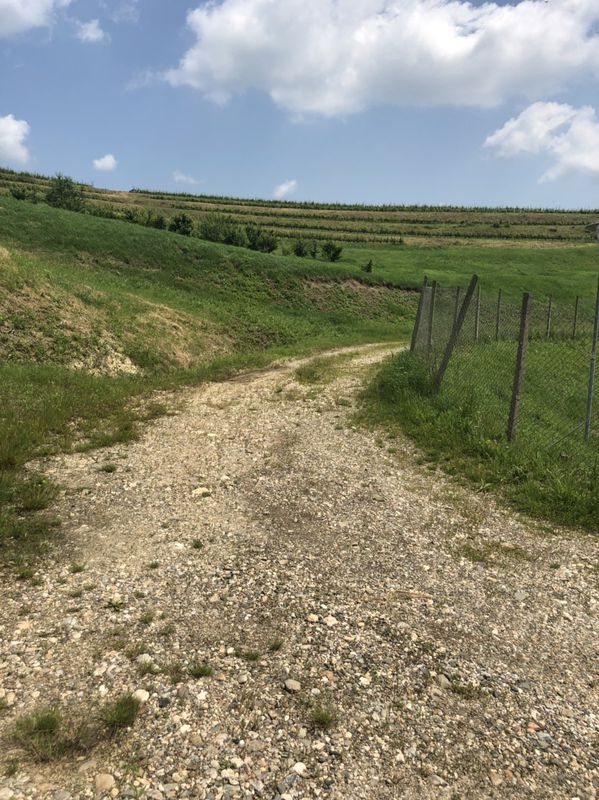 tura mare salina vie