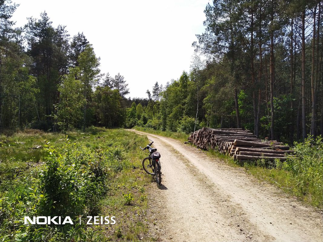 2019 /16 Zamek Lipowiec