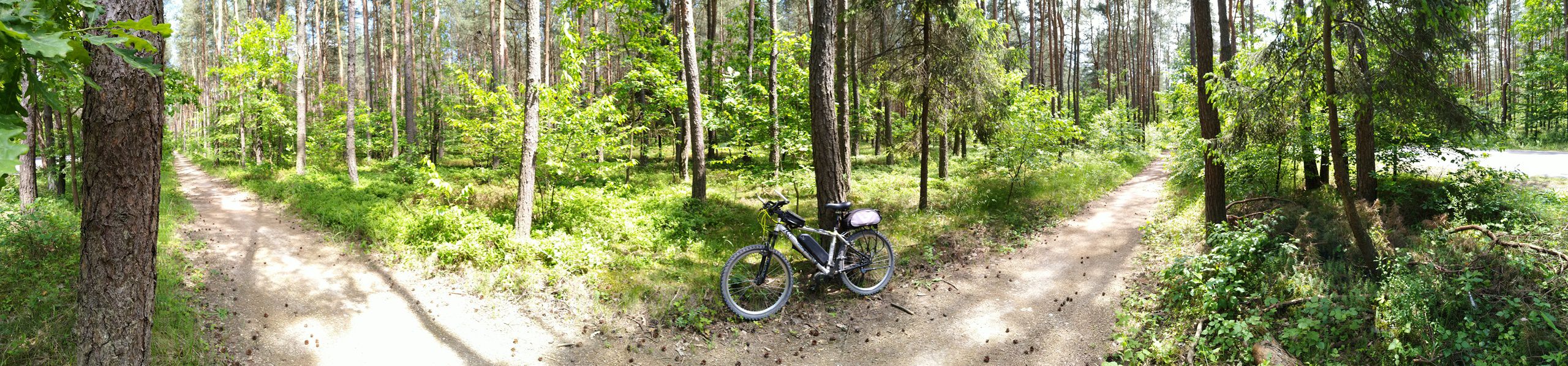 2019 /16 Zamek Lipowiec