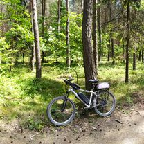 2019 /16 Zamek Lipowiec