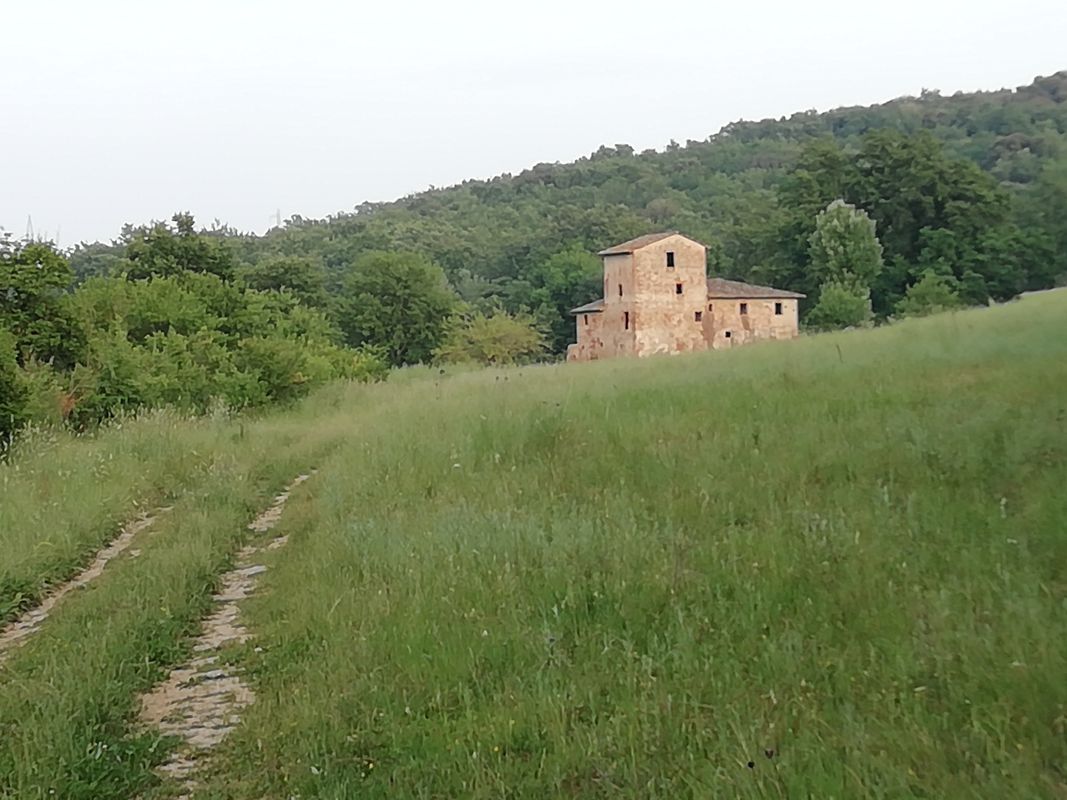 Certaldo Petrazzi Vecchiarelle Certaldo