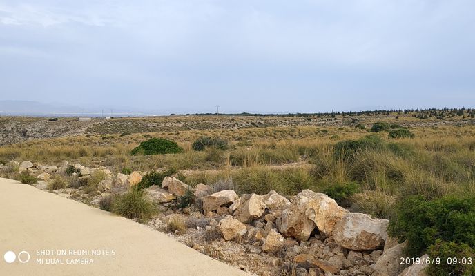 Photo 2 of the Bikemap route "fulla roja"