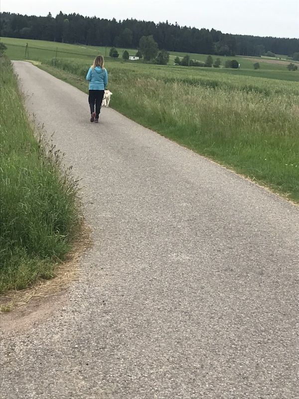Langsame Fahrt in Fluorn-Winzeln