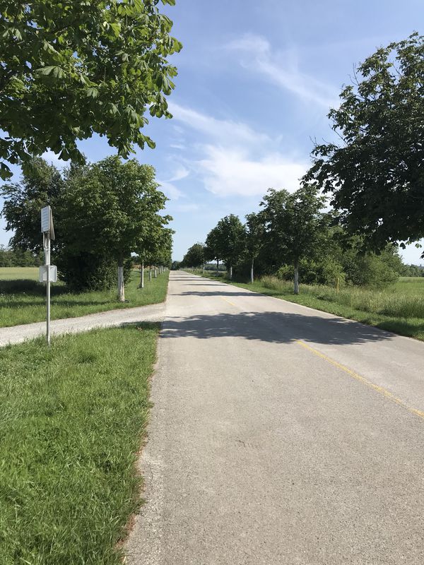 Gerade Fahrt in Laxenburg