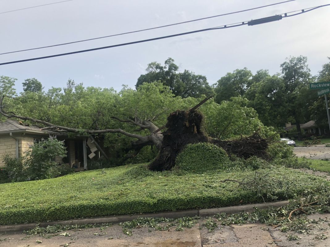 off to Boo’s house we go