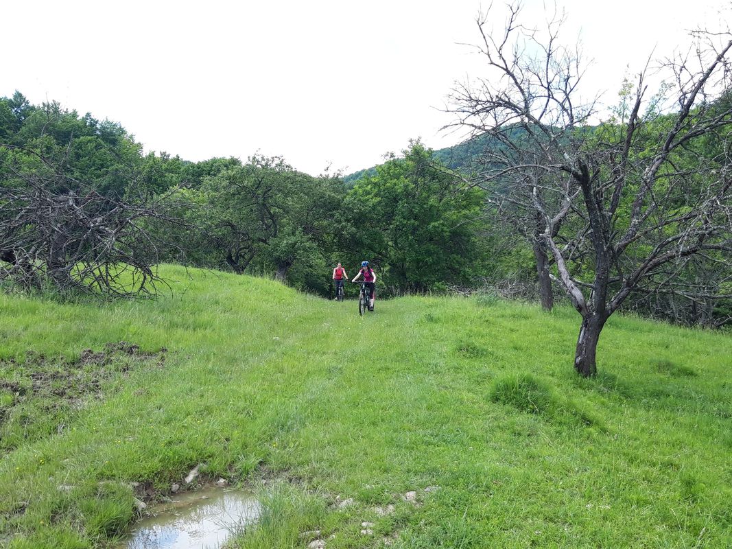 Breaza-Stana-Urseiu-Sultanu-Breaza