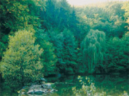 Hebe Bild 1 entlang der Bikemap-Route "Tübingen - Birkensee" hervor