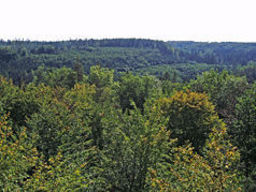 Hebe Bild 5 entlang der Bikemap-Route "Tübingen - Birkensee" hervor