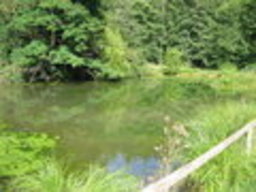 Hebe Bild 6 entlang der Bikemap-Route "Tübingen - Birkensee" hervor