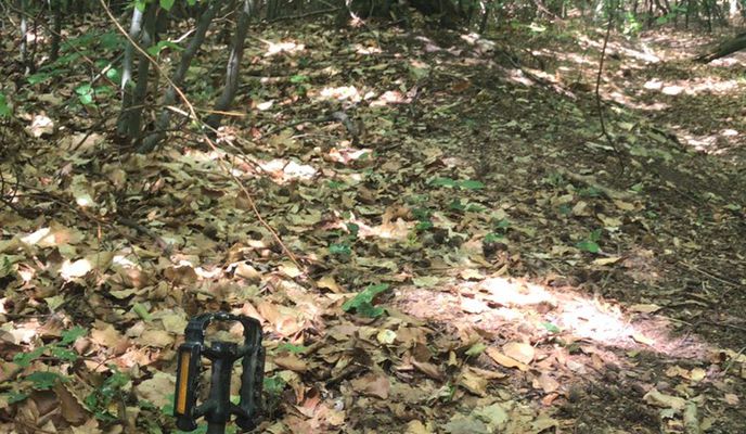 Zdjęcie 1 trasy Bikemap „Kahlenberg drum herum”