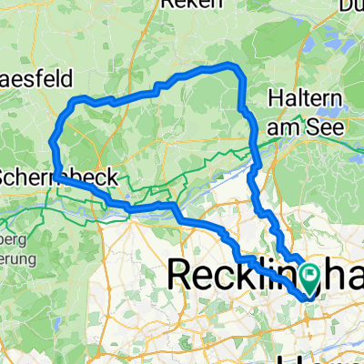 RE Schermb. Specking RE (80)