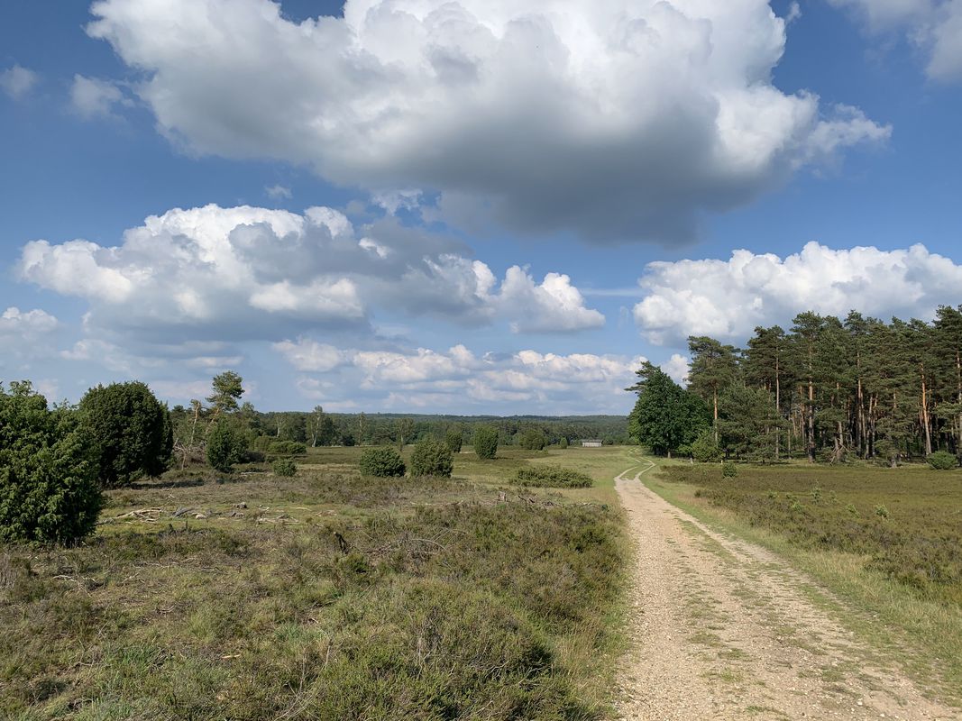 Döhle-Heide-Undeloh-Egestorf