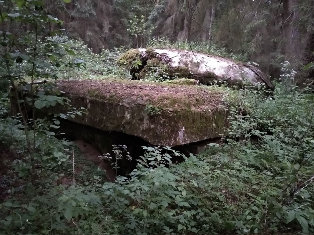 тайное место