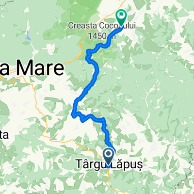 Ziua 1 - TM - POI si Food