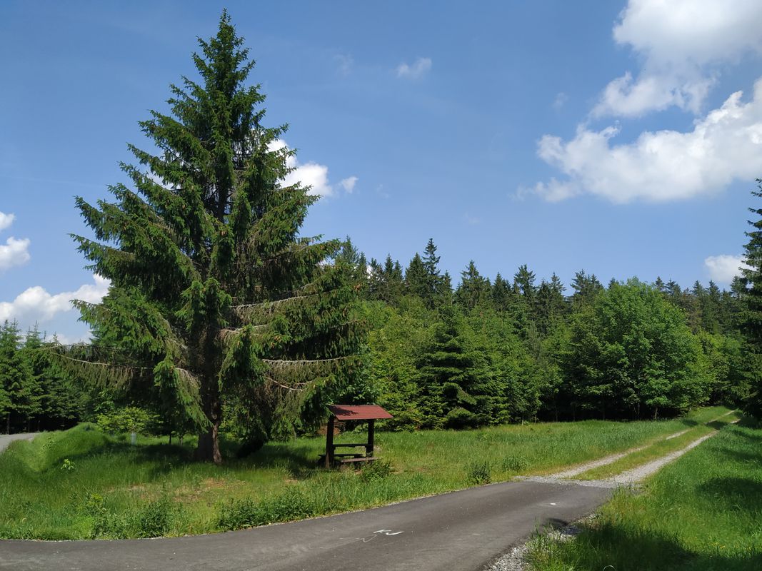 Velké Dářko a Svratka