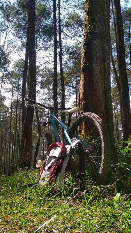 lembang buper