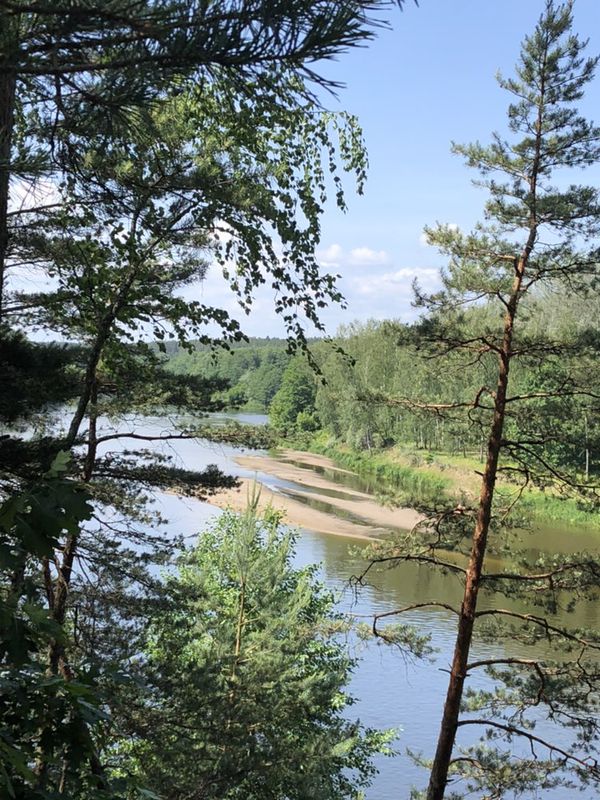 Druskininkai žvaigždžių orbita