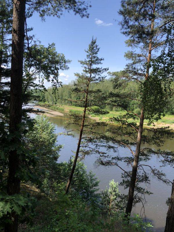 Druskininkai žvaigždžių orbita