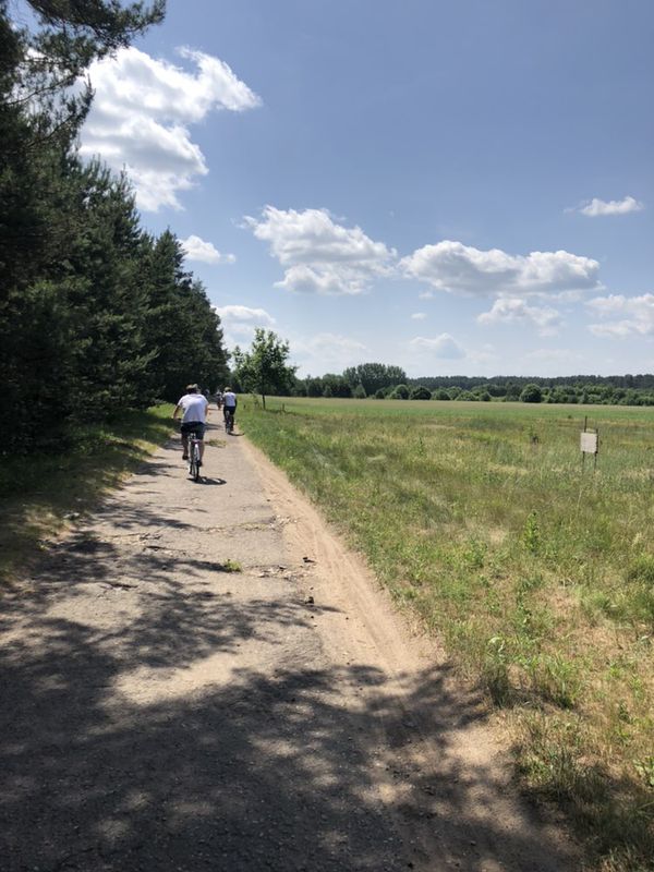 Druskininkai žvaigždžių orbita