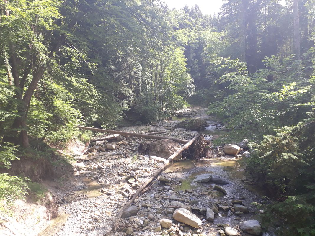 spasstour roggwil mörschwil