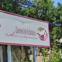 Muzeul Satului, Timișoara to DC69