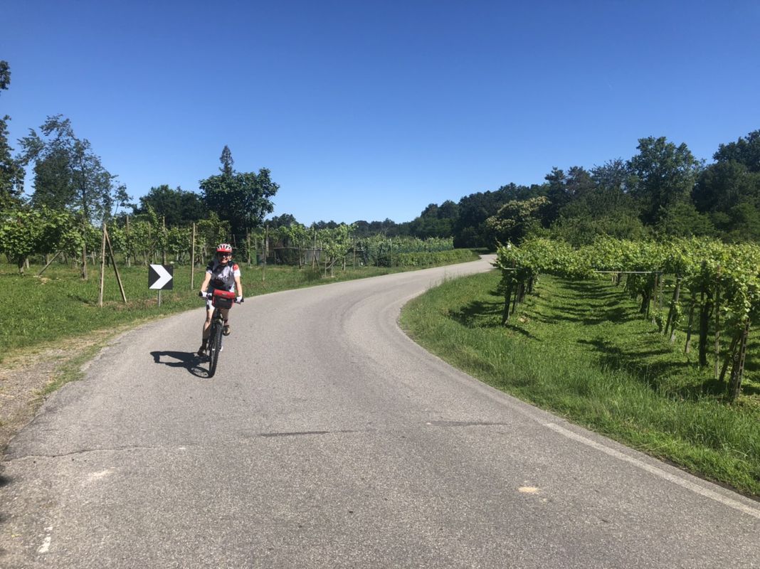 Passeggiata fra viti e Ticino