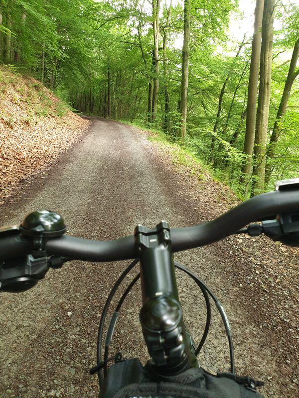 Odenwald 1
