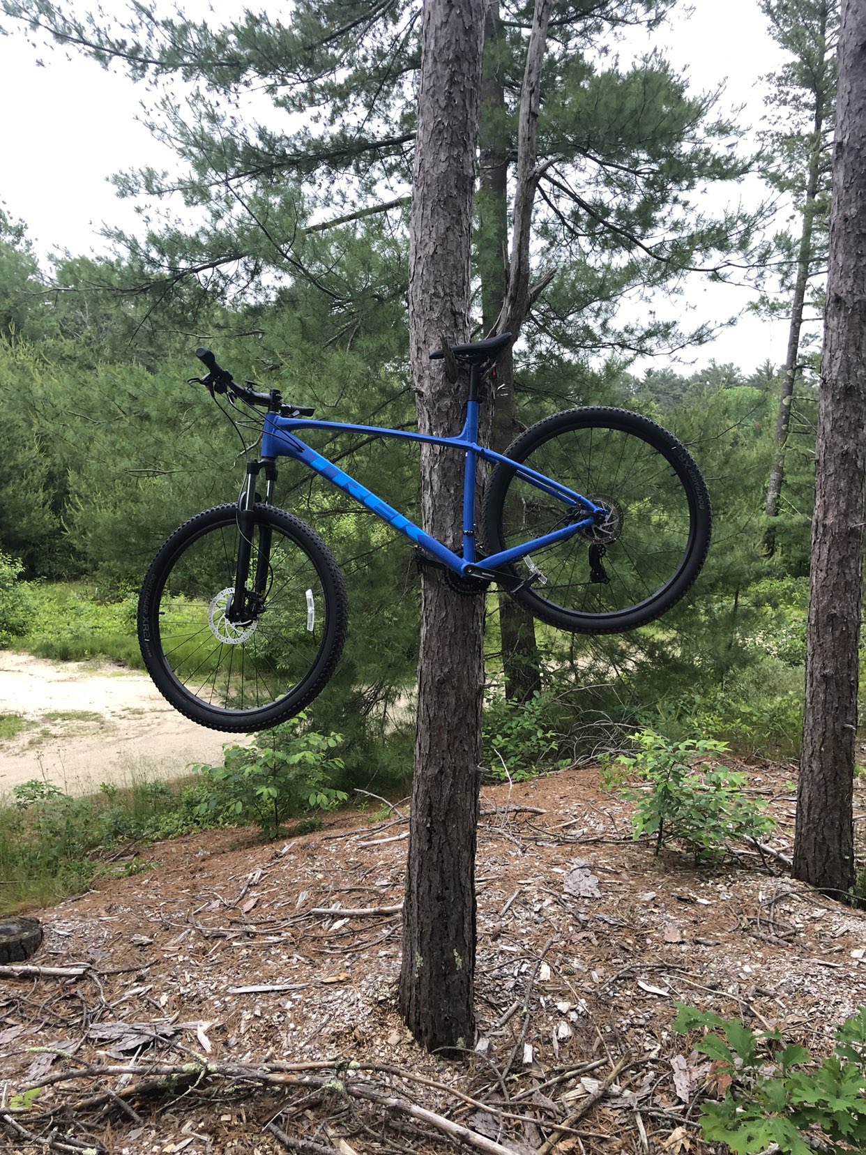 Mild Pinehills Loop