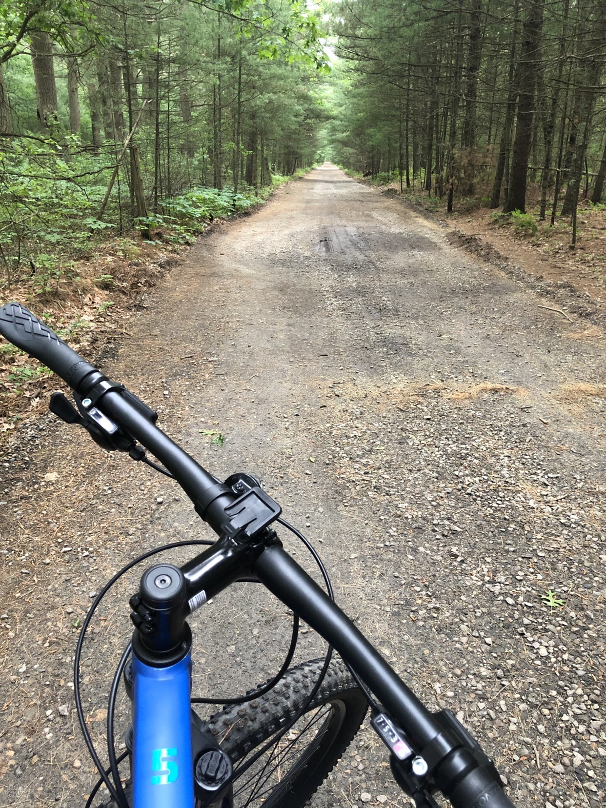 Mild Pinehills Loop