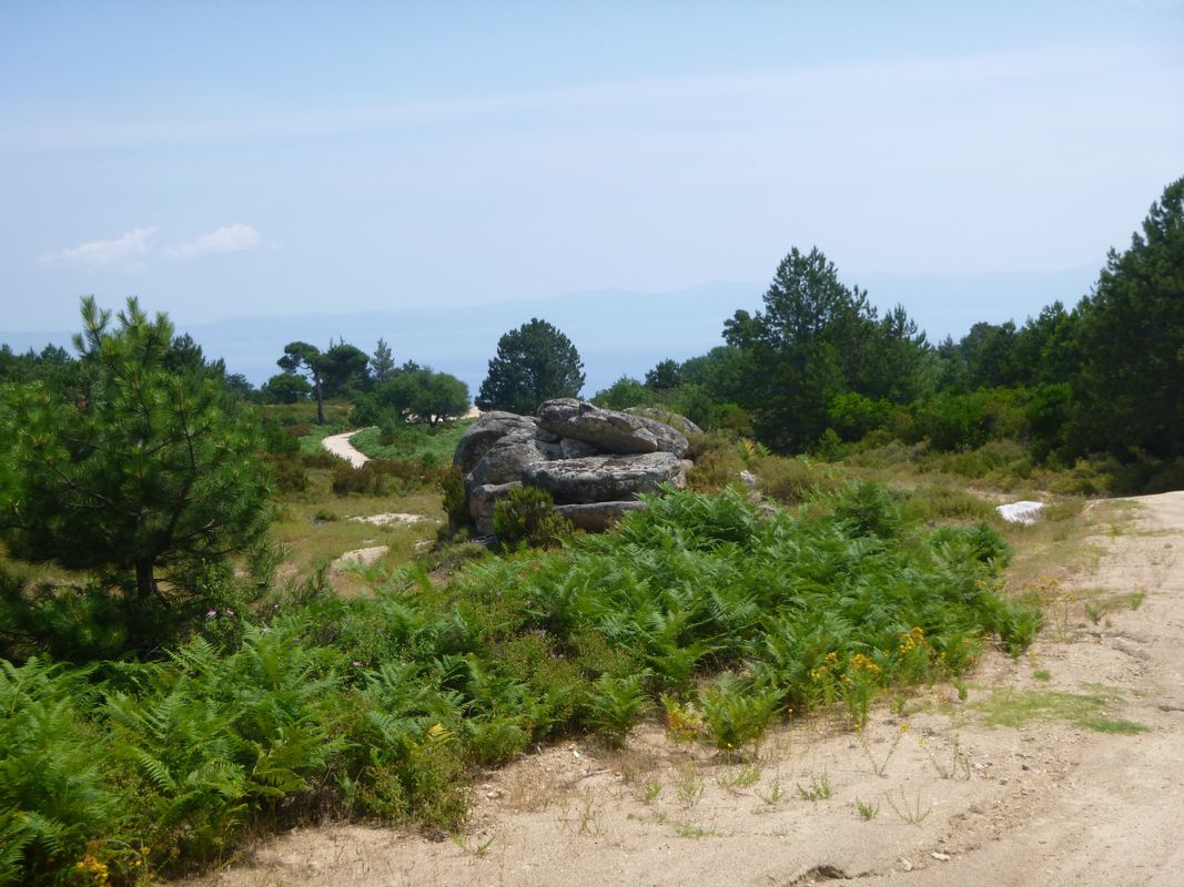Sarti