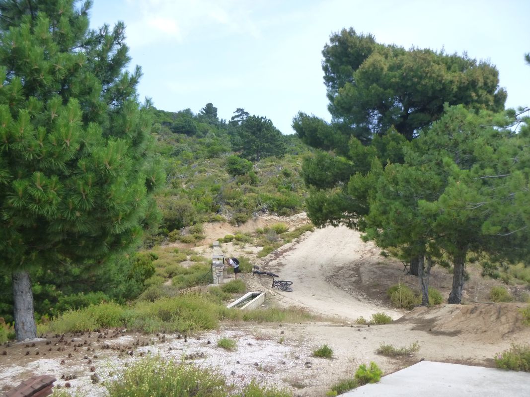 Sarti