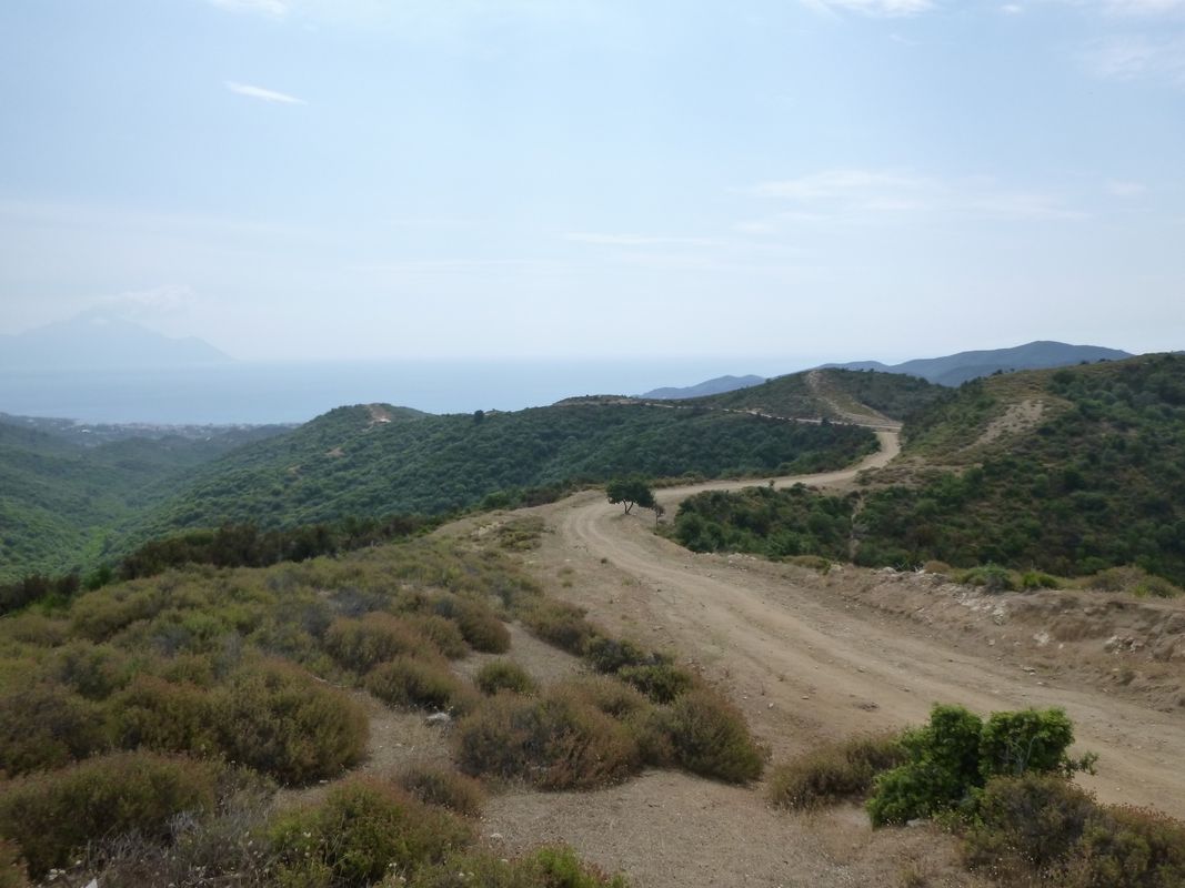 Sarti