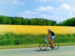 Hebe Bild 1 entlang der Bikemap-Route "Harderberg-Rödinghausen" hervor