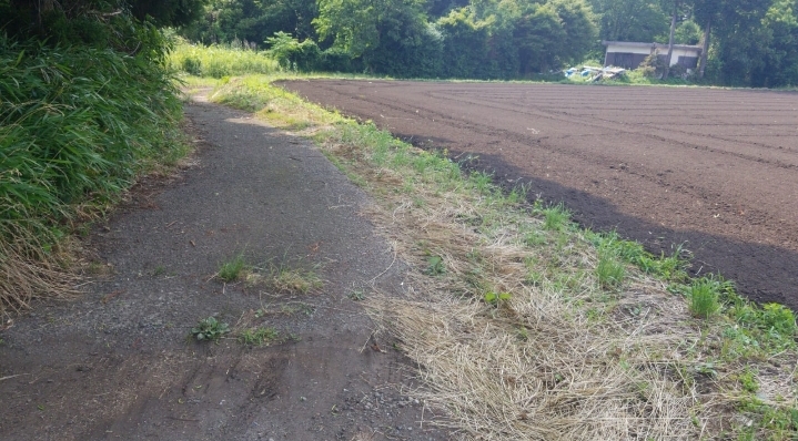 此Apps 帶我行田基跑