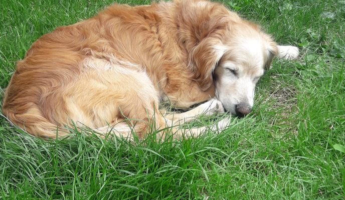 Foto 1 der Bikemap-Route "20.06"