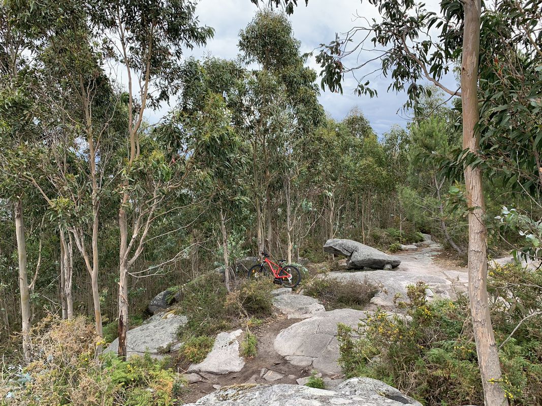 Ruta moderada “el mejor banco del mundo” en Redondela