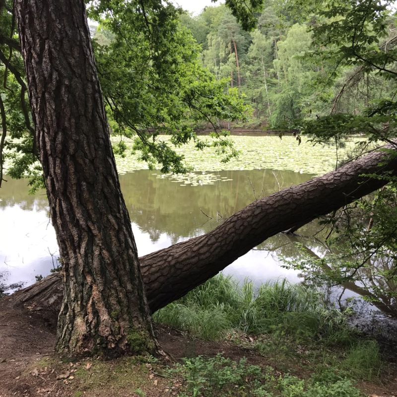 zum Retzbergweiher und zurück