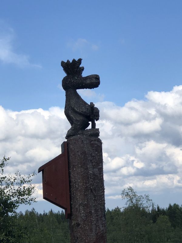 RĂźcktour â bog Hill lodgeâ