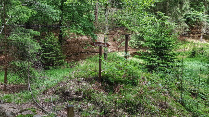 durch den Mühlgrund